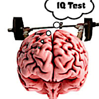 IQ test