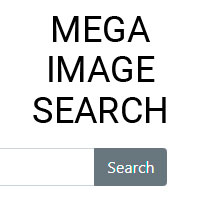 Mega Image Search