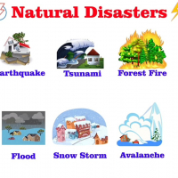 Natural Disasters web application