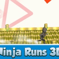 Ninja Runs 3D