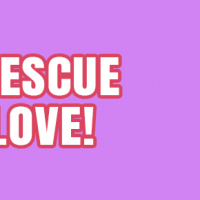 Rescue Love