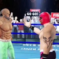 Ring Wrestling Championship 3D