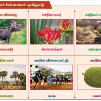 Tamilnadu Symbols Web Application