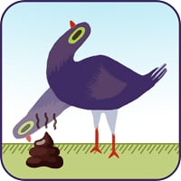 Trash Dove Headbanging Crazy Bird Complete Game