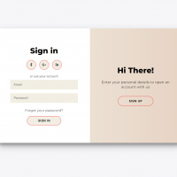 Web Sites Sign İn-Sign Up-Form