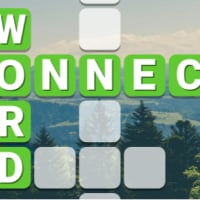 Word Connect Puzzle