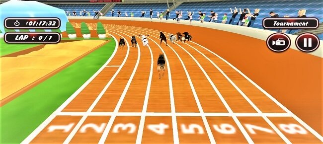 Crazy Wild Dog Race