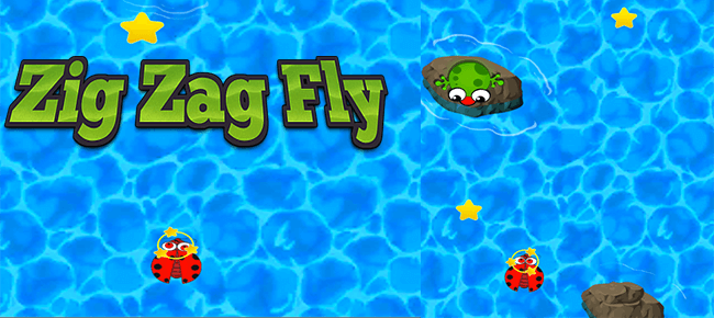 Zig Zag Fly